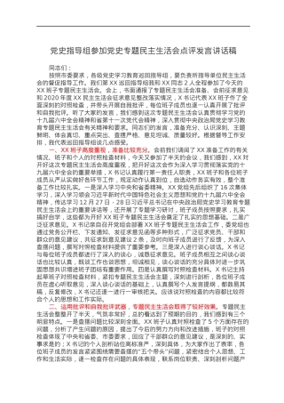 党史指导组参加党史专题民主生活会点评发言讲话稿.docx