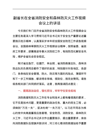 副省长在全省消防安全和森林防灭火工作视频会议上的讲话.docx