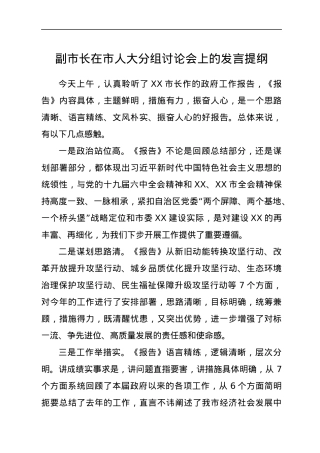 副市长在市人大分组讨论会上的发言提纲.docx