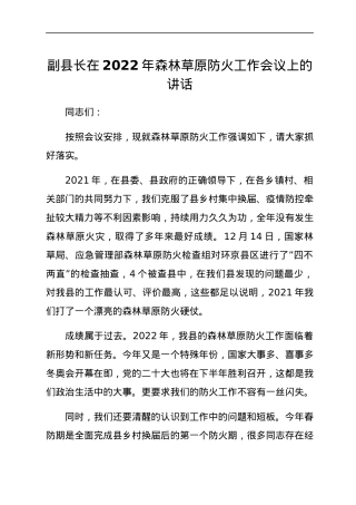 副县长在2022年森林草原防火工作会议上的讲话.docx