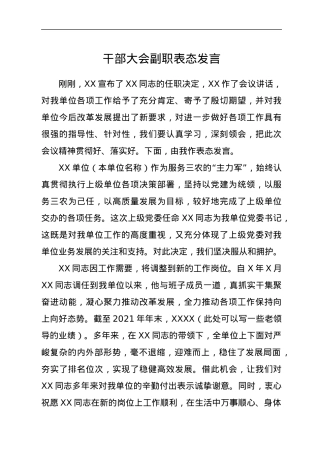 干部大会副职表态发言.docx