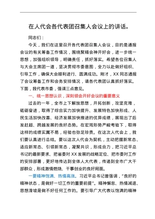 在人代会各代表团召集人会议上的讲话.doc