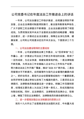 公司党委书记在年度法治工作推进会上的讲话.doc
