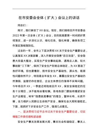 在市安委会全体（扩大）会议上的讲话.docx