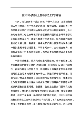 在市环委会工作会议上的讲话.docx