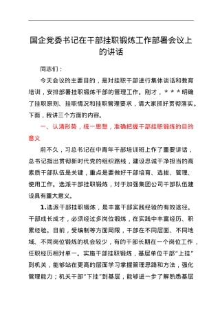 国企党委书记在干部挂职锻炼工作部署会议上的讲话.docx