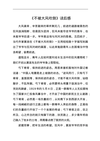 《不被大风吹倒》读后感.docx
