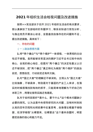 2021年组织生活会检视问题及改进措施.docx