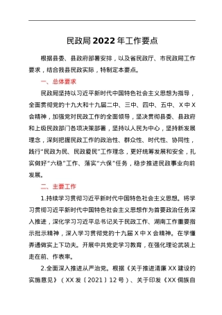 民政局2022年工作要点.docx