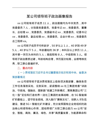 某公司领导班子政治画像报告.Doc