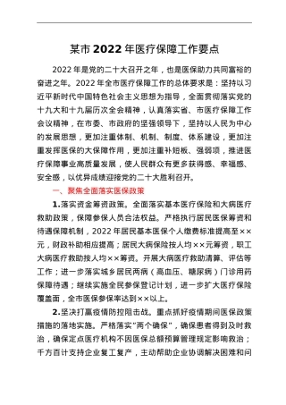 某市2022年医疗保障工作要点.doc
