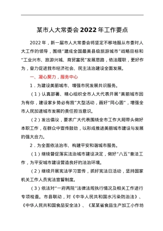 某市人大常委会2022年工作要点.docx