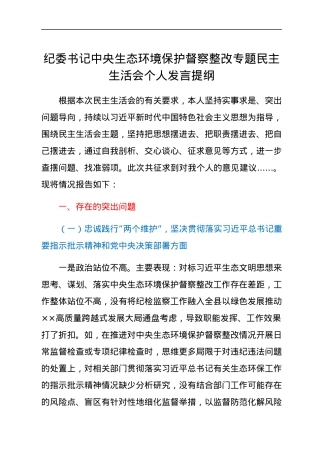 纪委书记中央生态环境保护督察整改专题民主生活会个人发言提纲.docx