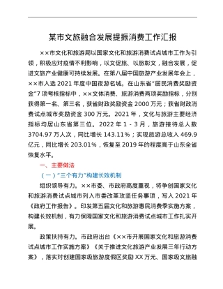 某市文旅融合发展提振消费工作汇报.Doc