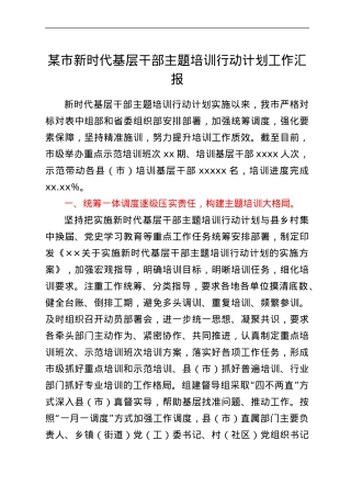 某市新时代基层干部主题培训行动计划工作汇报.doc