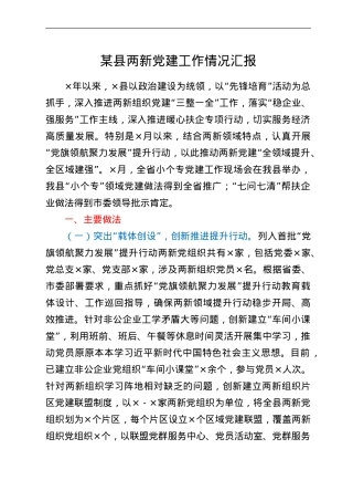 某县两新党建工作情况汇报.doc