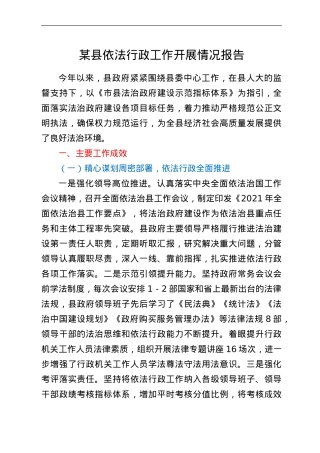 某县依法行政工作开展情况报告.doc