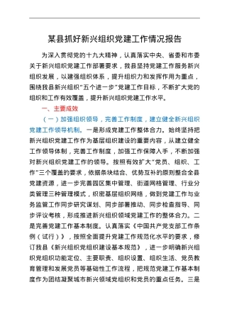 某县抓好新兴组织党建工作情况报告.doc