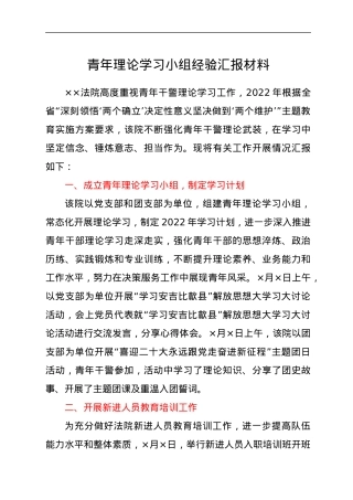 青年理论学习小组经验汇报材料.docx