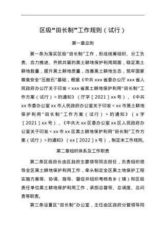 区级“田长制”工作规则（试行）.docx