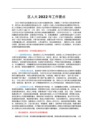 区人大2022年工作要点.docx