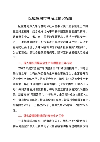 区应急局市域治理情况报告.docx