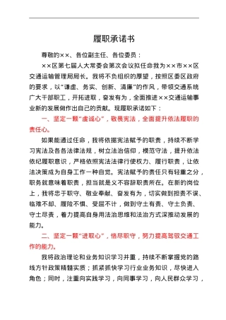 领导个人履职承诺发言.doc