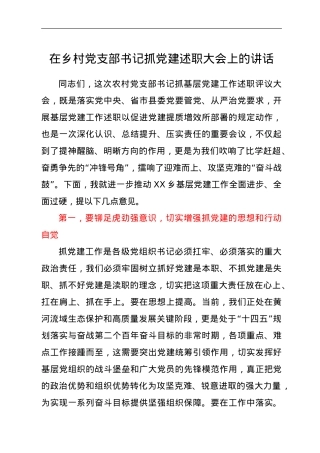 在乡村党支部书记抓党建述职大会上的讲话.doc