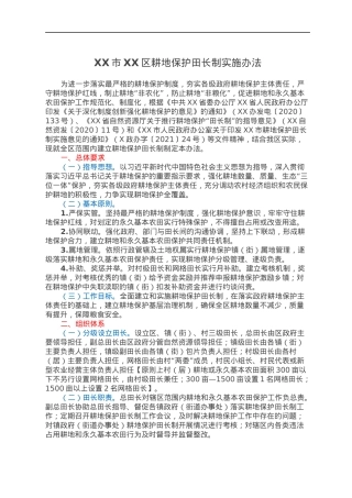 XX市XX区耕地保护田长制实施办法.docx