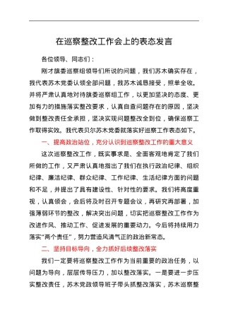 在巡察整改工作会上的表态发言.docx