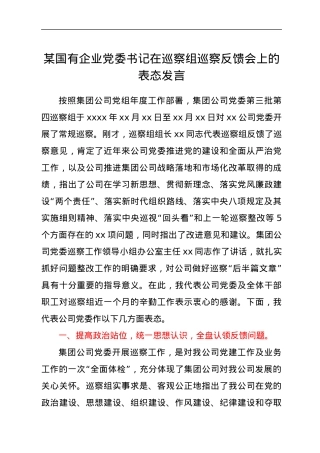 在巡察组巡察反馈会上的表态发言.docx