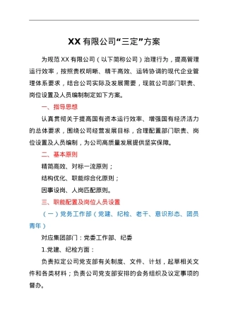 XX有限公司“三定”方案.doc