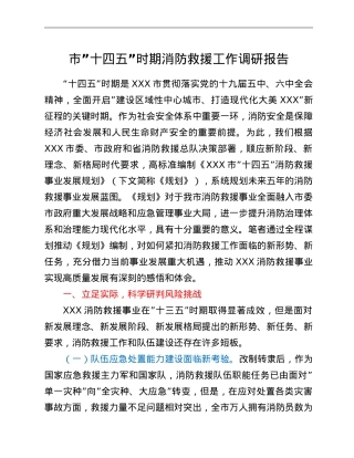 市“十四五”时期消防救援工作调研报告.doc