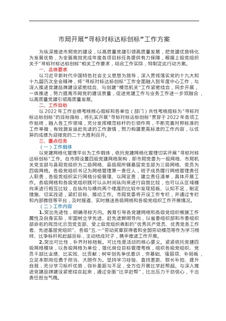 市局开展”寻标对标达标创标”工作方案.docx