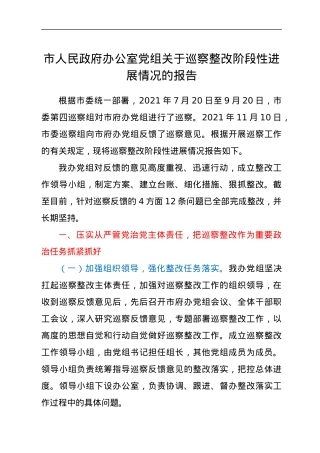 市人民政府办公室党组关于巡察整改阶段性进展情况的报告.docx