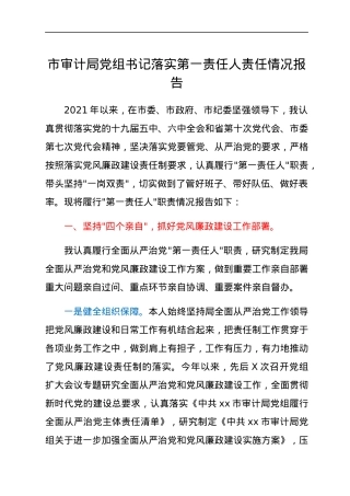 市审计局党组书记落实第一责任人责任情况报告.docx