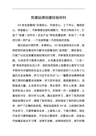 党建品牌创建经验材料.docx