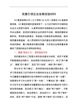 党建引领企业发展经验材料.doc