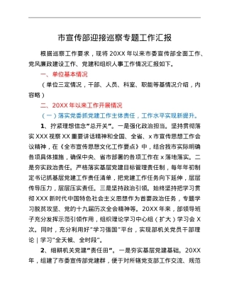 市宣传部迎接巡察专题工作汇报.Doc