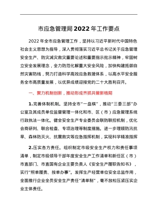 市应急管理局2022年工作要点.docx