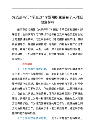 党支部书记“学查改”专题组织生活会个人对照检查材料.docx