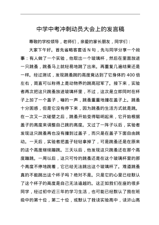 中学中考冲刺动员大会上的发言稿.doc