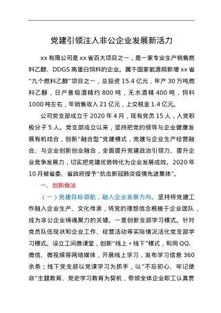 非公企业党建材料：党建引领注入非公企业发展新活力.docx