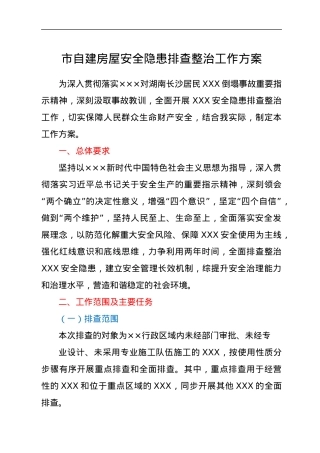 市自建房屋安全隐患排查整治工作方案.docx