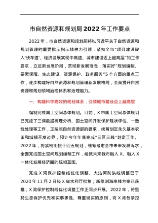 市自然资源和规划局2022年工作要点.docx