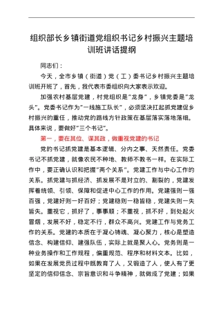 组织部长乡镇街道党组织书记乡村振兴主题培训班讲话提纲.doc