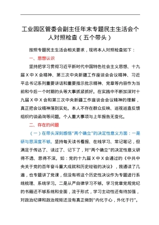 工业园区管委会副主任年末专题民主生活会个人对照检查（五个带头）.docx