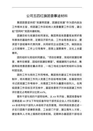 公司五四红旗团委事迹材料.doc