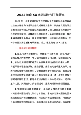 2022年度XX市河湖长制工作要点.docx