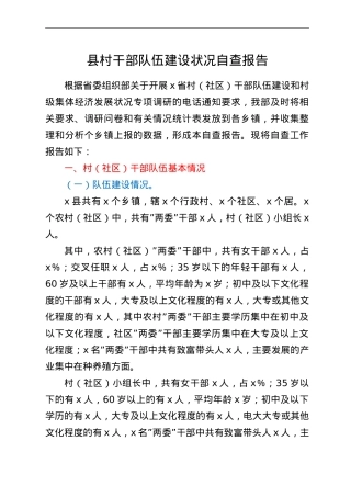 县村干部队伍建设状况自查报告.doc